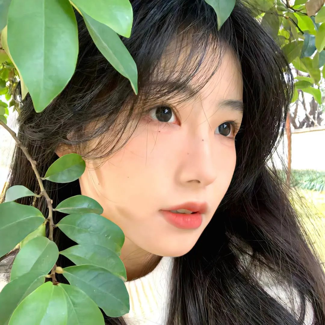 雪中灰